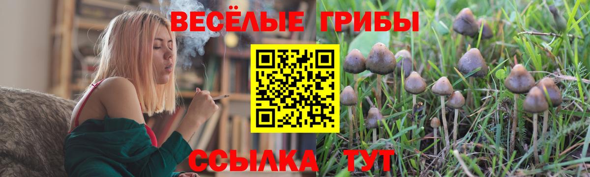 Северск  Псилоцибиновые грибы прущие грибы  Галлюциногенные грибы Cubensis  Вход с VPN 